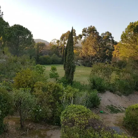 Dolce * Grimaud